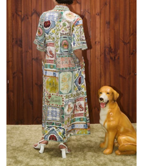 Tommasina Shirtdress - Multi